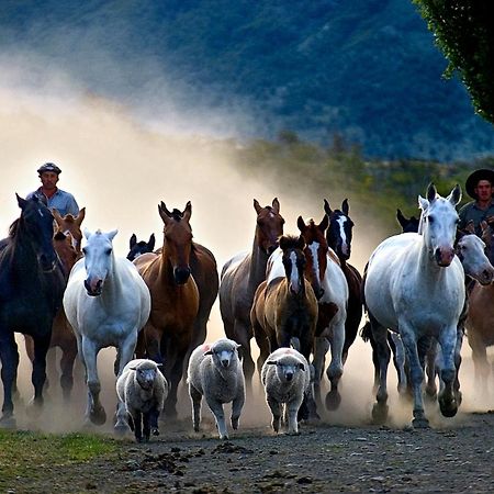 Colonia Francisco Perito Moreno Estancia Nibepo Aike מראה חיצוני תמונה