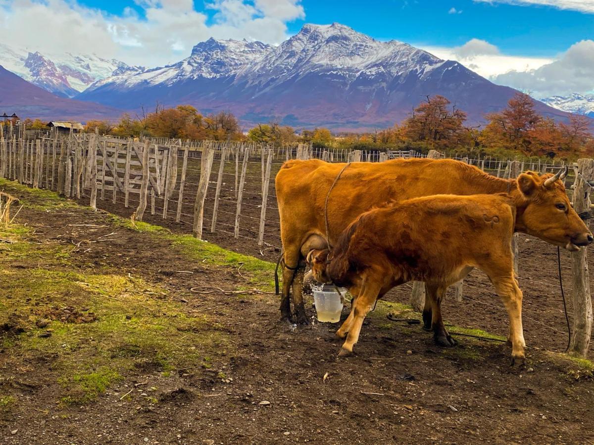 Colonia Francisco Perito Moreno Estancia Nibepo Aike מראה חיצוני תמונה
