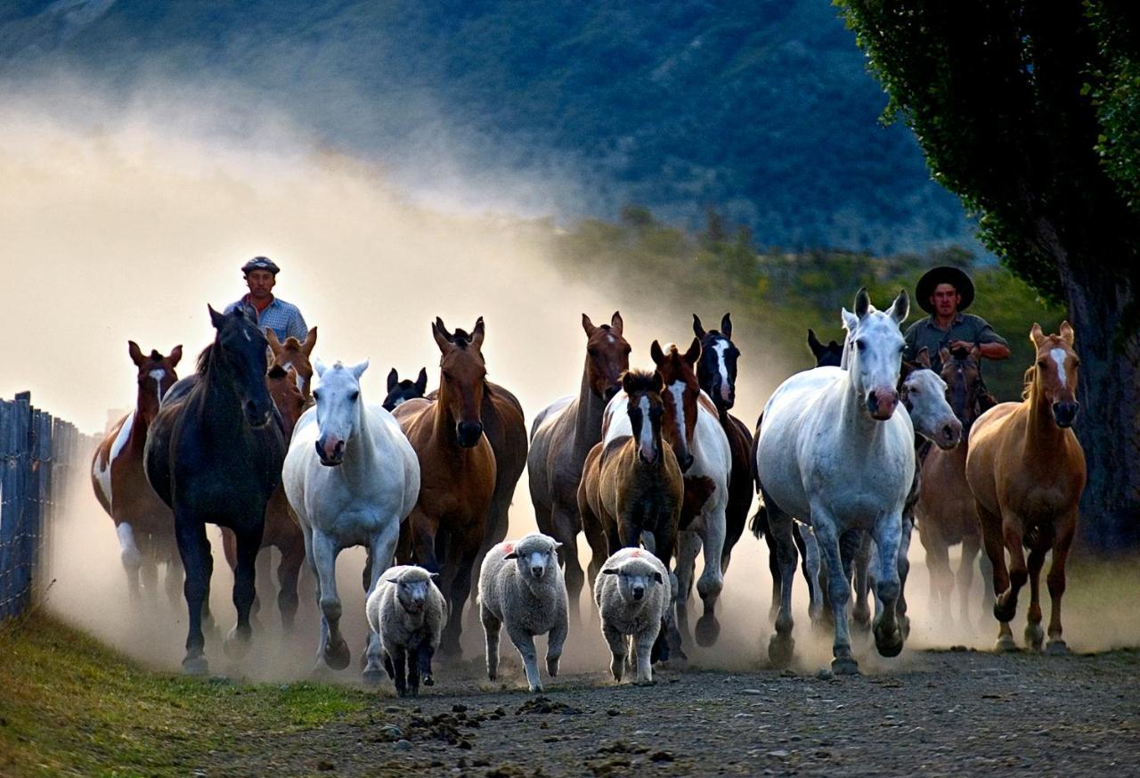 Colonia Francisco Perito Moreno Estancia Nibepo Aike מראה חיצוני תמונה