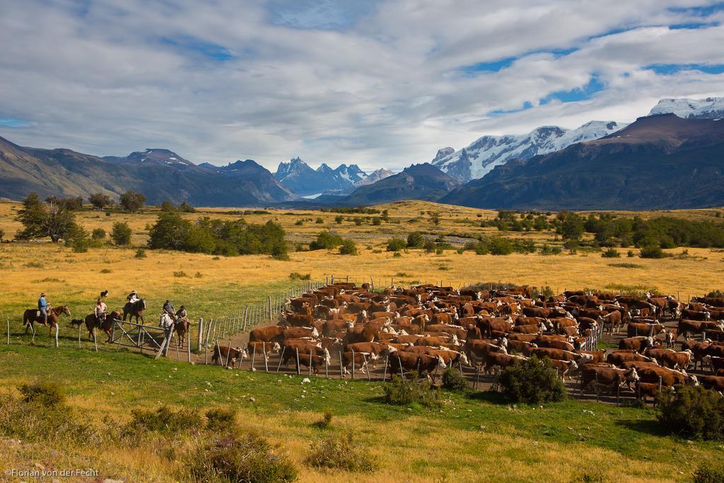 Colonia Francisco Perito Moreno Estancia Nibepo Aike מראה חיצוני תמונה
