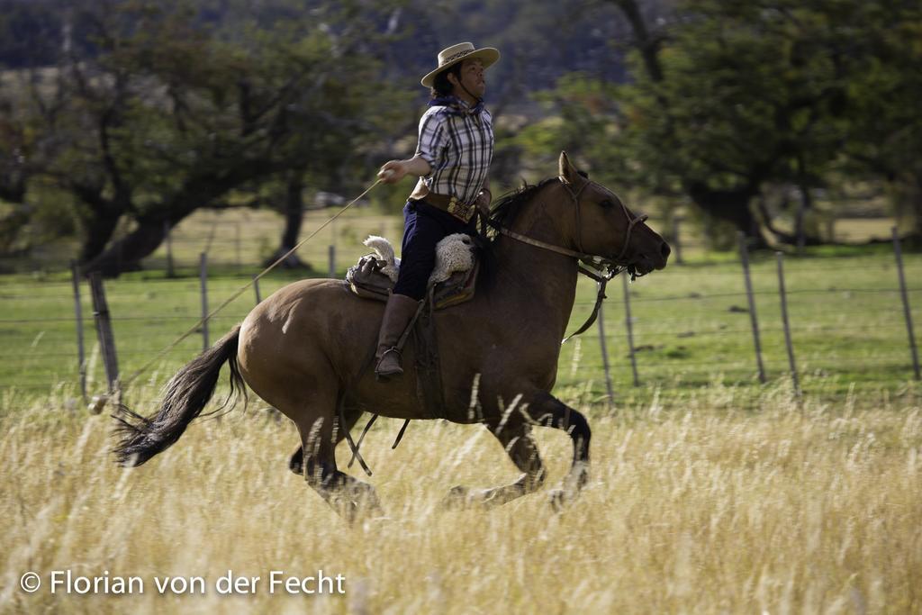 Colonia Francisco Perito Moreno Estancia Nibepo Aike מראה חיצוני תמונה